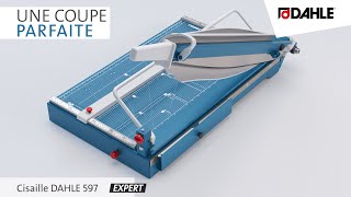 Dahle 597 - Cisaille Papier A3 35 Feuilles - Largeur De Coupe 550 Mm - Pression Manuelle
