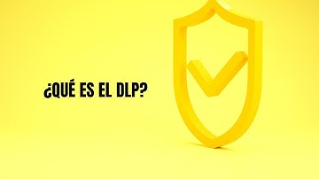 ¿QUÉ ES UN DLP?