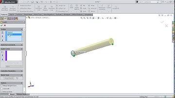 Feed Check valve - pin