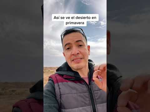 Increíble! Flores en el desierto de sonora