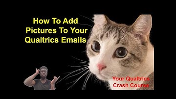 How to add images to your email messages in Qualtrics