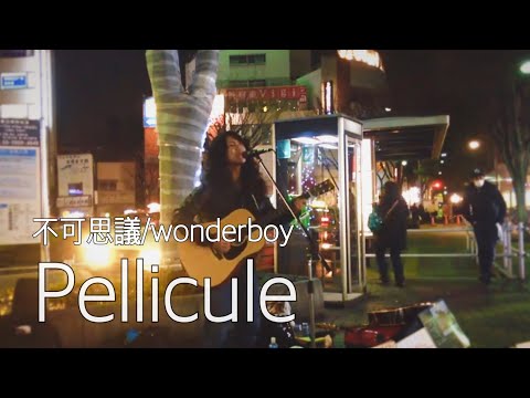 "pellicule"　弾き語りcover　菊池遼真