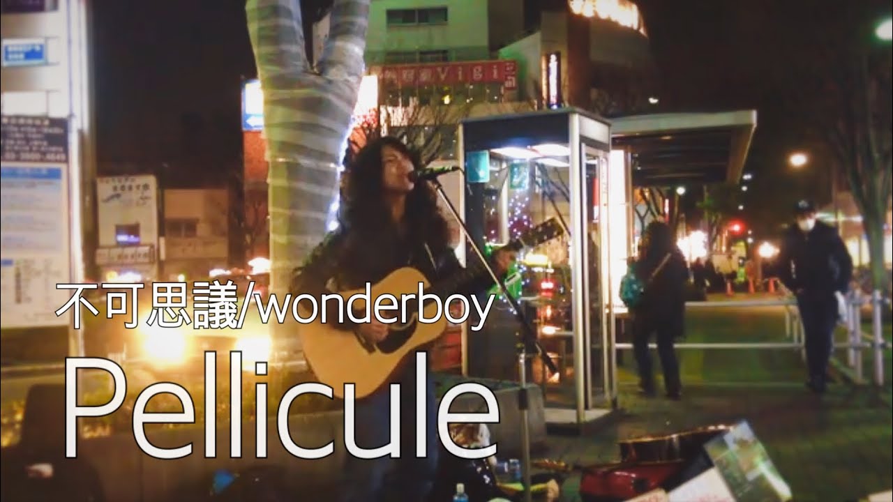 "pellicule"　弾き語りcover　菊池遼真