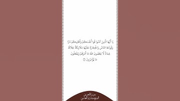 تلاوة في دقيقة سورة التحريم الآية ٦ الشيخ مشاري العفاسي