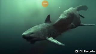 Khủng Long Đại Chiến | Nhạc Remix | Game Hài TV.