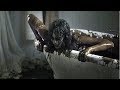 New Horror Movies 2018 Full Length Movies Latest HD - Scary Movies 2018