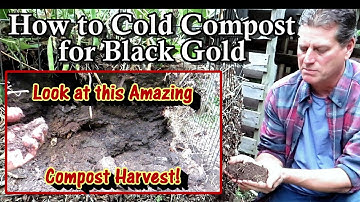 Fall Cold Composting Made Easy with An Amazing Compost Harvest: How to Harvest Garden Black Gold!