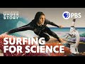 Coral Reefs and Hawaiian Surfing Culture