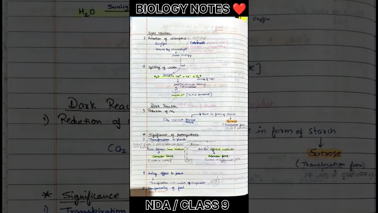 NDA Photosynthesis BIOLOGY NOTES 
