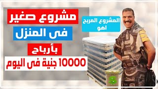 مشروع صغير من البيت برأس مال قليل وأرباحه 10000 جنية فى اليوم الواحد