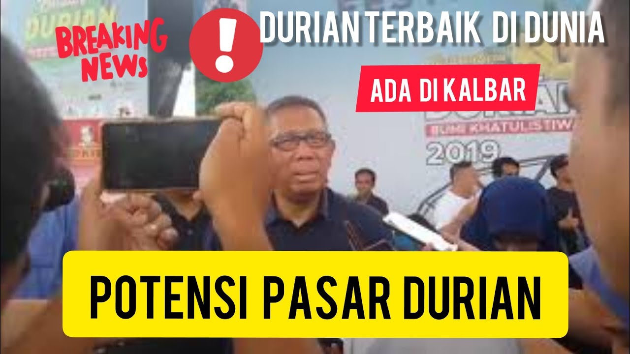 Potensi Pasar buah lokal || Potensi durian di Kalimantan Barat barbie dolls