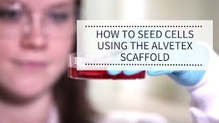 How to seed cells using the Alvetex scaffold | REPROCELL (Alvetex)