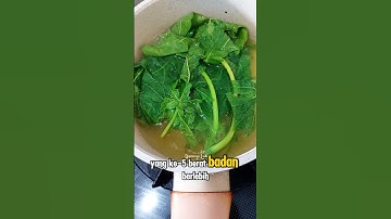 khasiat DiBalik Daun Pepaya Bagi Kesehatan... 😱⁉️#tips #tipssehat #herbal #daunpepaya
