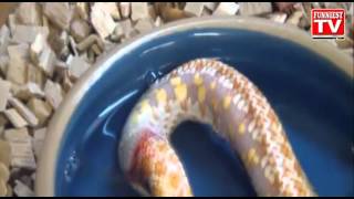 Epic Funny Fail  Win - Luck Compilation 2013