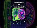 cell #science #shorts #shortvideo