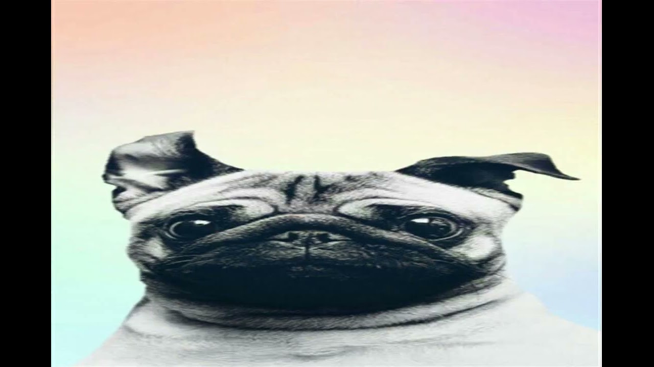 BABE COCKTAIL I'm tired of message REMEMBER BRAIN splurgy of solo Pretty awesome