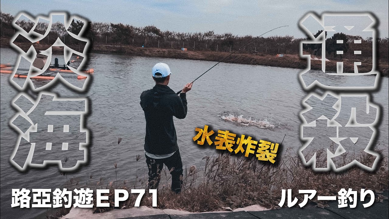 路亞初心者 淡海水通殺的餌 海水路亞池也能上演水表炸裂 Ft 魚擬共舞路亞池 釣魚 路亞 ルアー釣り 海鱸 金目鱸 石斑 龍虎斑 Lurefishing Weeklyfishing Youtube