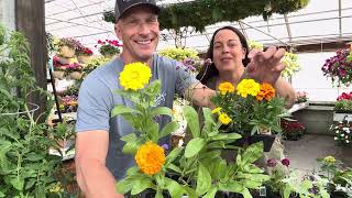 Deer Resistant Flowers That Deer HATE! 🦌🌸 Best Plants to Grow This Year!