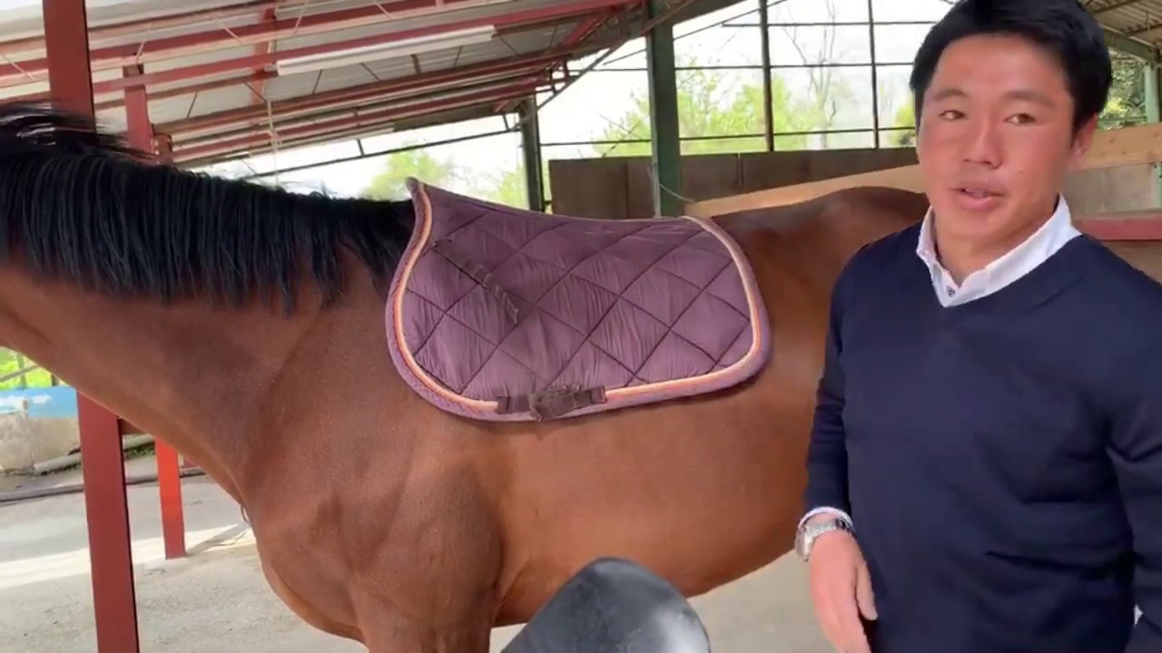 乗馬クラブ　エルミオーレ馬装MOVE（装鞍編）