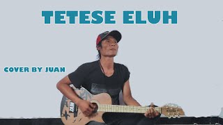 Catur Arum - Tetese Eluh | Cover By Juan