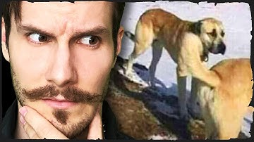 r/ConfusingPerspective - WTF??