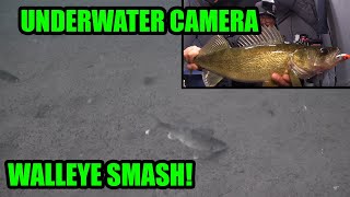 Ice Fishing and Winter Camping | Non-stop Walleye Action!