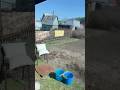 #shorts шашлык на даче Алтайский край