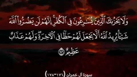 سورة آل عمران (176-178)
