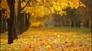 Download lagu Wind Blown Leaves Sound Effect