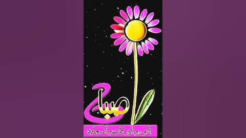 صباح الخير تلاوة بصوت الشيخ خالد الجليل الآية 102 سورة آل عمران