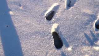 Walking on top of ICY Deer Creek Lake Reservoir