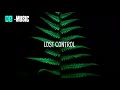 Alan Walker ‒ Lost Control (Lyrics) ft. Sorana