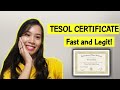 (#5) TESOL CERTIFICATE FAST AND AFFORDABLE! (Got mine in just 5 hours!)