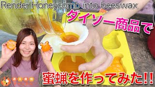 ダイソーの蒸し器で蜜蝋を作ってみた！！【ニホンミツバチ蜜蝋】