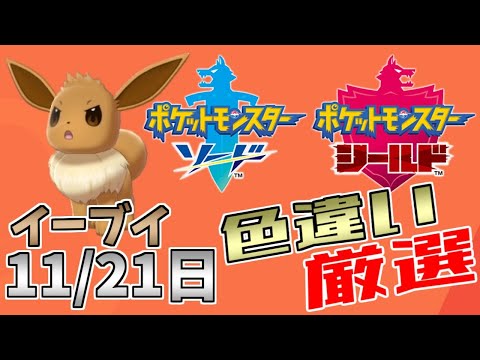 ポケモン剣盾 図鑑完成したので色違い狙う イーブイの日 Youtube