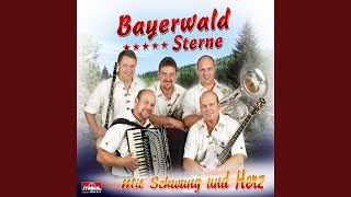 Stammtisch Michahansl-Boarischer