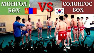 (🇰🇷Sub)МОНГОЛ БӨХ vs СОЛОНГОС БӨХ аль нь давсан бол? ZolbooTv MONGOLIAN YOUTUBER