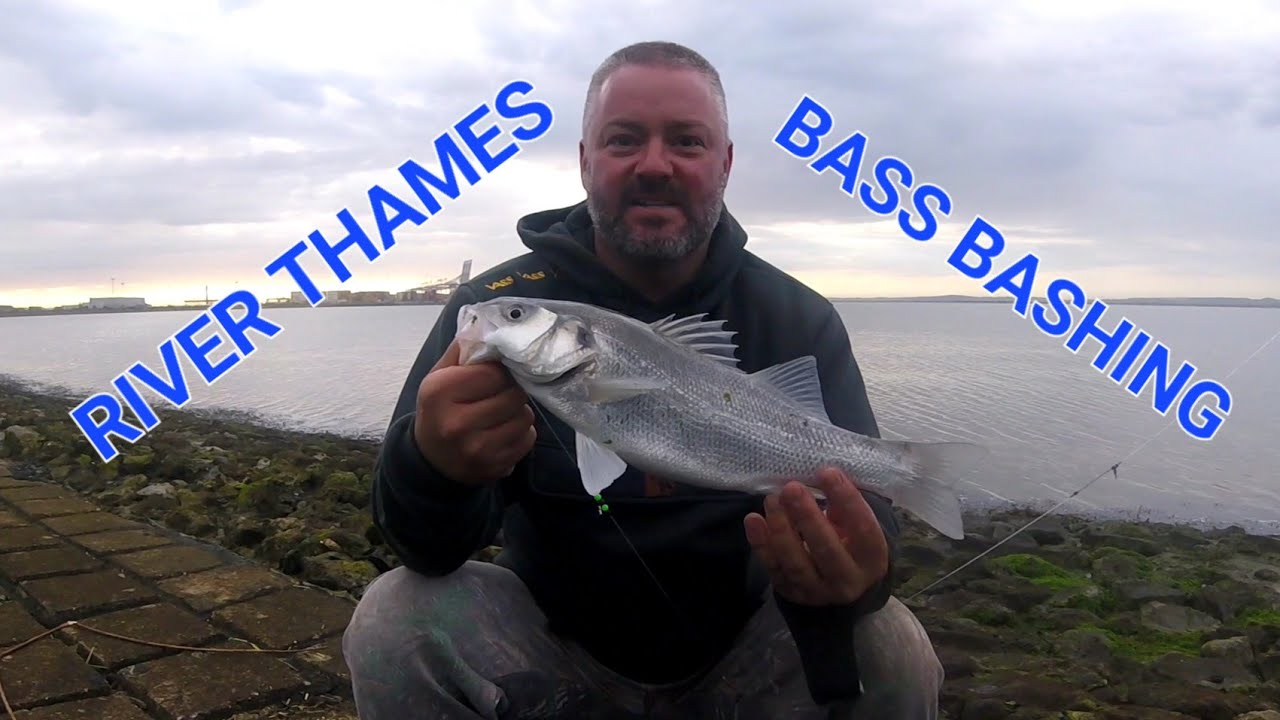 Thames Fishing Hotspot: Finding Bass at Stanford-le-Hope