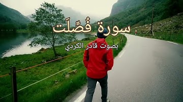 سورة فصلت كاملة بصوت قادر الكردي