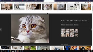 Java - урок 11.1 (Web протоколы TCP/IP)