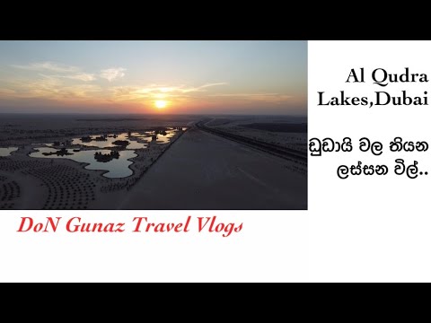 Lakes In Dubai | Al Qudra | Desert Camping | BBQ Night
