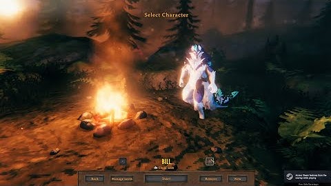 Custom character (Valheim VRM)