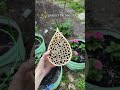 This handcrafted bee house / bee hotel is going to protect solitary bees from storms and predators.