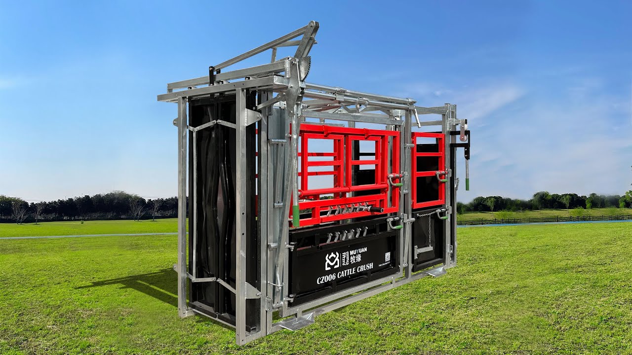 Heavy Duty Loading Ramp