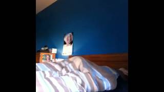 Crazy Tickle Monster In My Bed