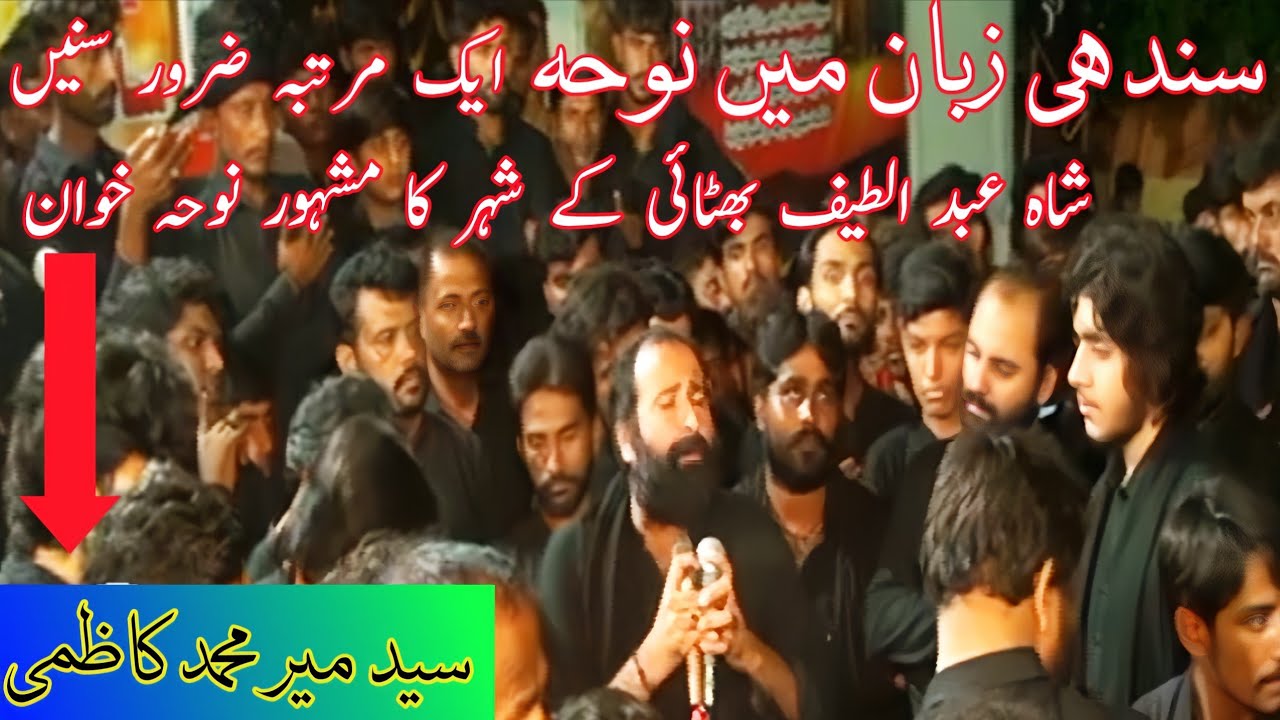 syed Mir Muhammad kazmi sindhi Noha || City shah Abdul Latif bhittai || Ali Murtaza official,