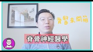 【醫療開箱】台灣有脊醫嗎? 8分鐘帶你認識美國的脊骨神經醫學! 