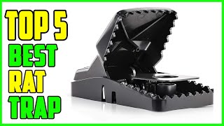 Top 5 Best Rat Trap 2025 Rat Trap Reviews
