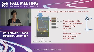 Probing and Modeling Reactive Transport Processes in Earth Systems