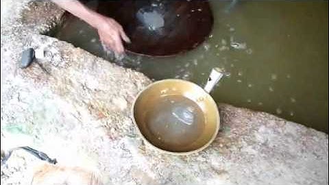 Gold Extraction Process Using Mercury